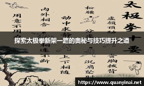 探索太极拳新架一路的奥秘与技巧提升之道